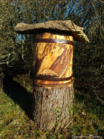 Nouvelle vidéo ! Ruche-tronc, abeilles, Apiculture, Le Verger, Refuge LPO Bouresse, Sud-Vienne